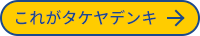 これがタケヤデンキ